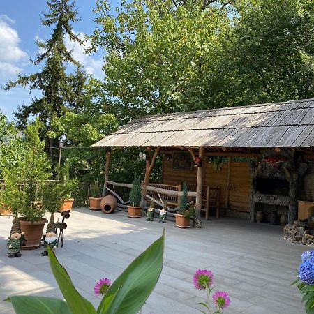 Anano'S Guesthouse 보르조미 외부 사진
