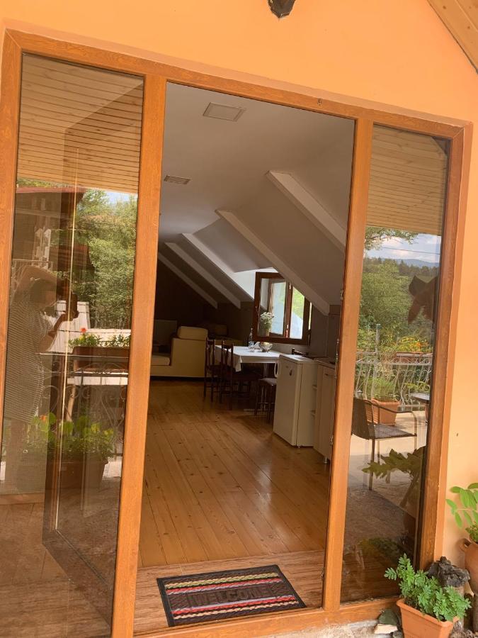 Anano'S Guesthouse 보르조미 외부 사진