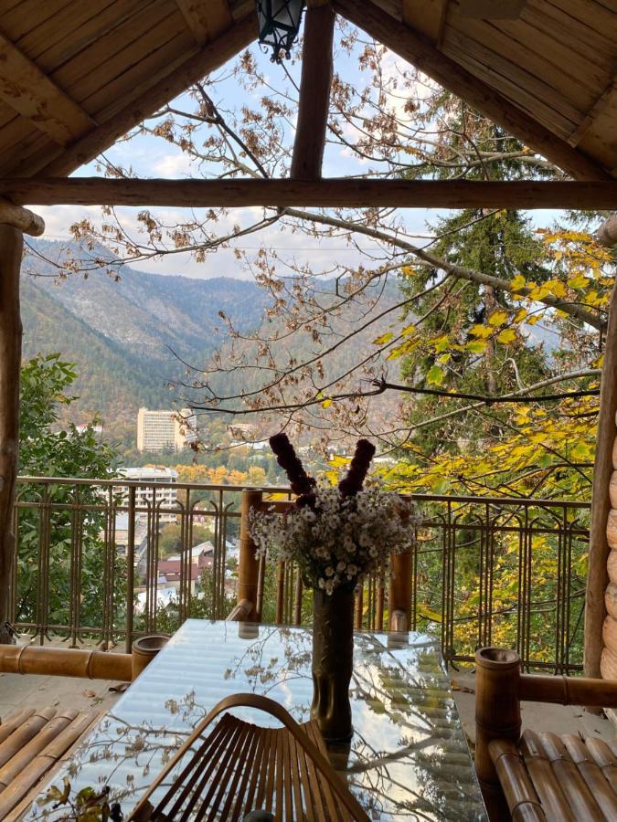 Anano'S Guesthouse 보르조미 외부 사진