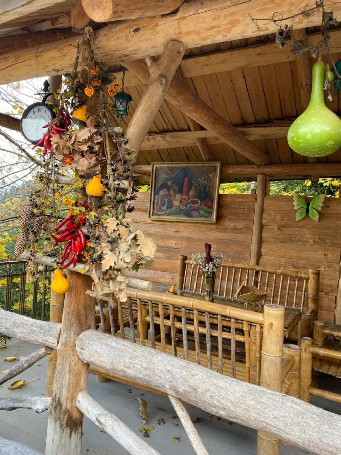 Anano'S Guesthouse 보르조미 외부 사진