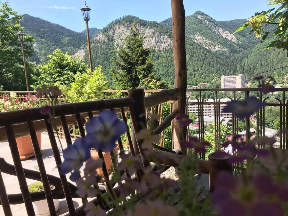 Anano'S Guesthouse 보르조미 외부 사진