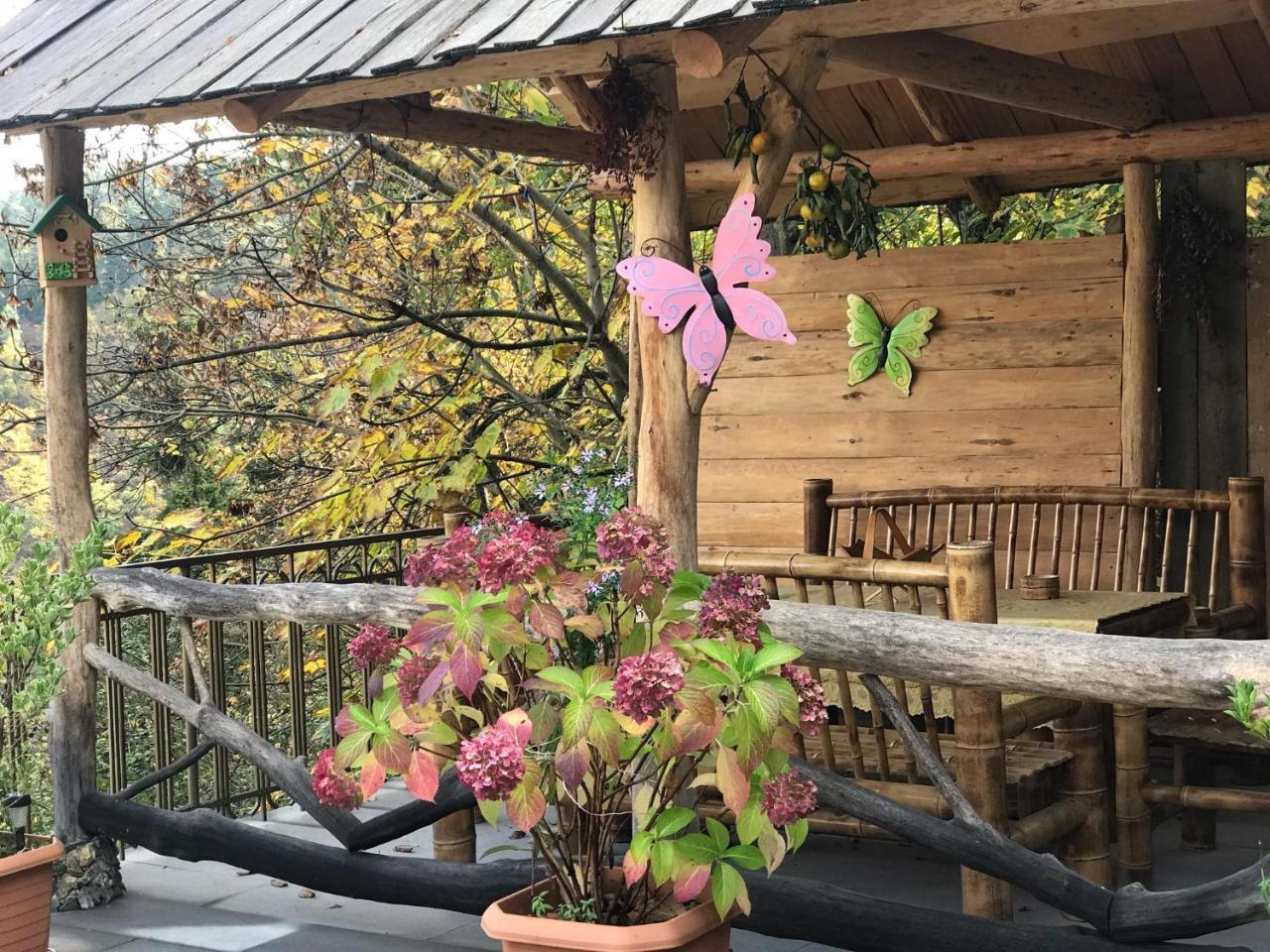 Anano'S Guesthouse 보르조미 외부 사진
